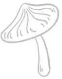 bg_1.webp