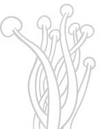 bg_2.webp