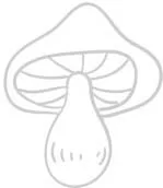 bg_5.webp