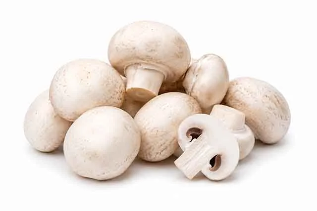 Shroomivore Harvest LLP