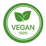 Vegan Food